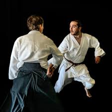 Image result for Ki Aikido (Epsom Ki Aikido