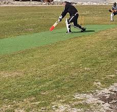 Image result for Falkland Cricket Club
