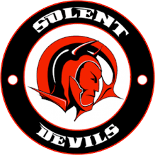 Image result for Solent and Gosport