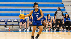 Image result for Barrow Basketball Club