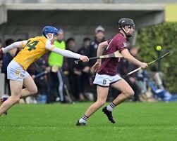 Image result for Green Isle Camogie Club - Players Wanted!