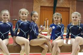 Image result for Sutton At Home Gymnastics Club