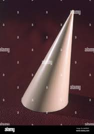 Attēlu rezultāti vaicājumam “Edwardsiana geometrica”