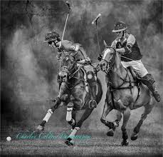 Image result for Cambridge and Newmarket Polo Club