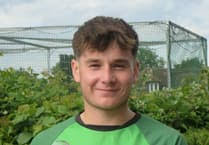 Image result for Old Tauntonians and Romsey Cc