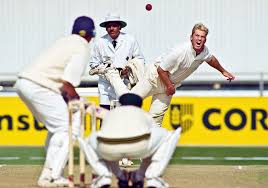 Image result for Nazeing Common Cricket Club