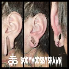 Image result for ear mod