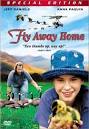 Fly Away Home - Hero's Journey Lesson Plan - Lesson Plans from ...