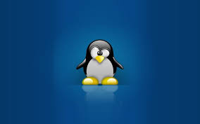 Image result for linux penguin