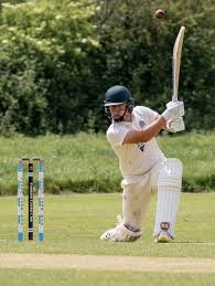 Image result for Frankton Cc