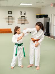 Image result for Abbey Fit Karate Club & Seiki Juku