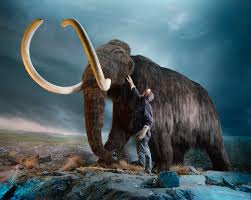 Image result for Go Mammoth