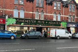 Image result for City Of Manchester Aquatics St