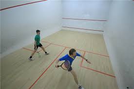 Image result for Reigate Badminton Club