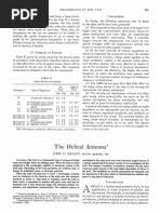 Image result for Jakub Jodko-Narkiewicz Kirlian