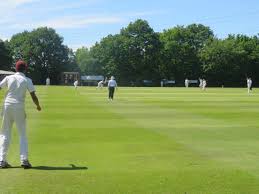 Image result for Winton Cricket Club