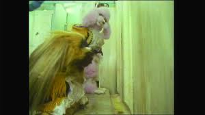 Image result for meet the feebles
