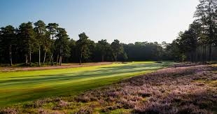 Image result for West Hill Golf Club