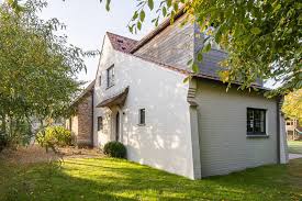 Image result for kaleien