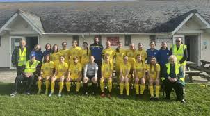 Image result for Braunton Football Club