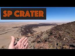 Attēlu rezultāti vaicājumam “Craterium sp.”