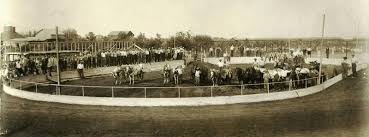 Image result for City of Preston Aquatics