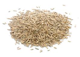 Attēlu rezultāti vaicājumam “Avena sativa”