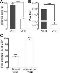 Image result for Vcd Ttc