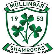Image result for Shamrocks Hurling & Football Club