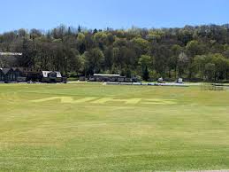 Image result for Alne Cricket Club