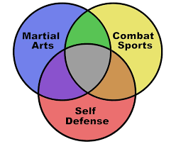Image result for Combined self defence arts