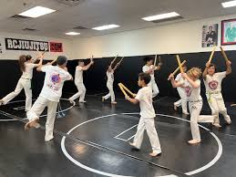 Image result for Brazilian-martial arts