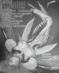 「三条加奈子」の画像検索結果