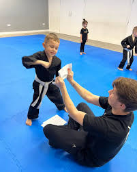 Image result for Pyramid martial arts