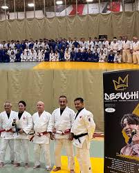 Image result for Aylwin Judo Club