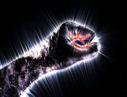 Image result for Jakub Jodko-Narkiewicz Kirlian