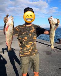 Image result for Cynoscion regalis