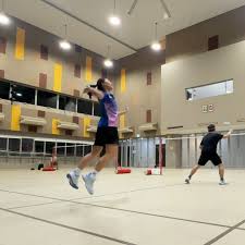 Image result for Lancing Badminton Club