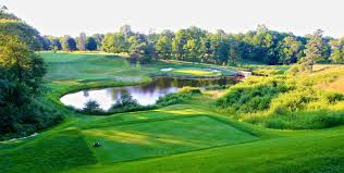 Image result for Bedford Tigers Tchoukball Club