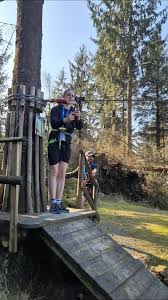 Image result for Go Ape! Grizedale