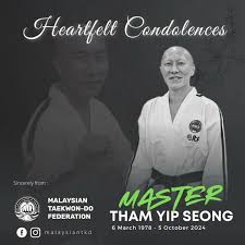 Image result for Synergy Tae Kwon Do