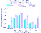 EGF and the stress response