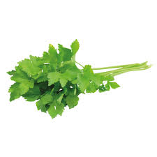 Image result for Koriander