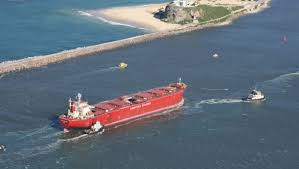 Image result for Pasha bulker