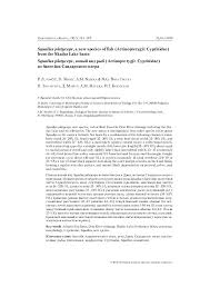 Image result for Squalius cephalus cavedanus