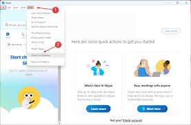 Image result for skype langsam