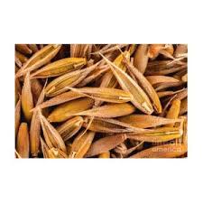 Attēlu rezultāti vaicājumam “Cynosurus cristatus fruit”