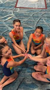 Image result for Acrobrats