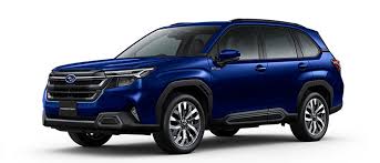 「ソフィア・フォレスター」の画像検索結果