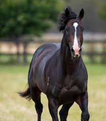 Image result for Bletchingly Badminton Club